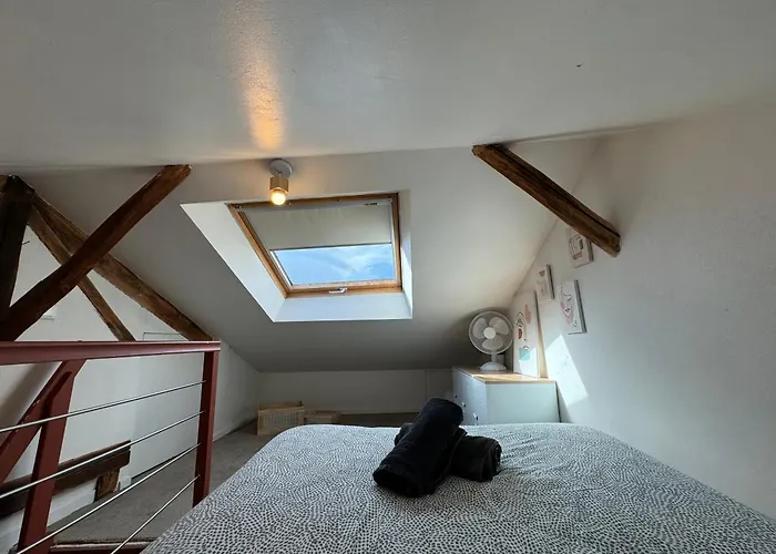 公寓 Terracotta - 5 Pers - Hyper Centre - Reve Au Mans 勒芒